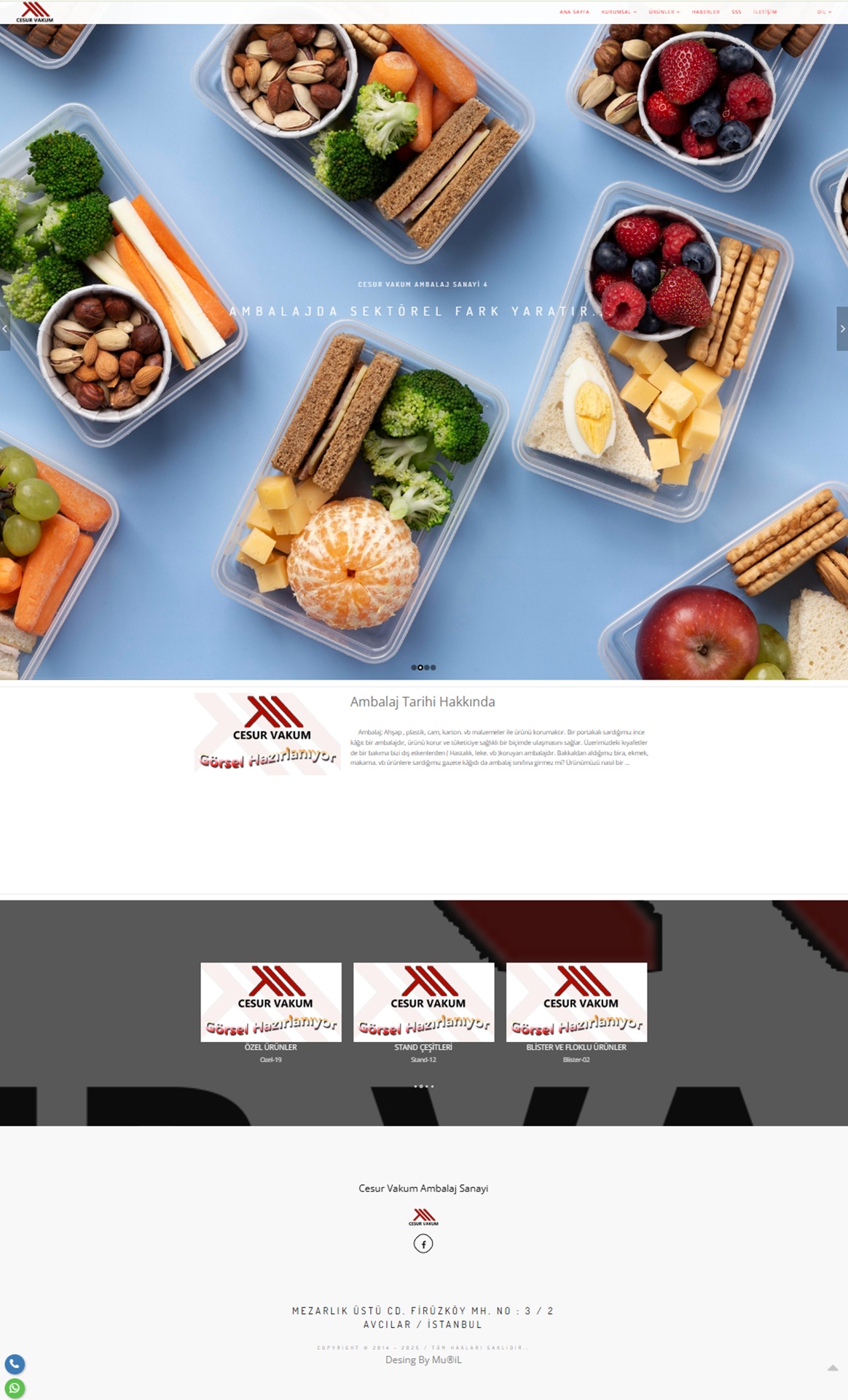 Our Renewed Website of Cesur Vacuum